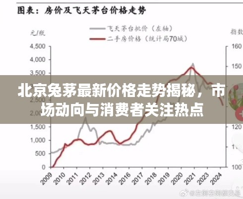 北京兔茅最新价格走势揭秘，市场动向与消费者关注热点