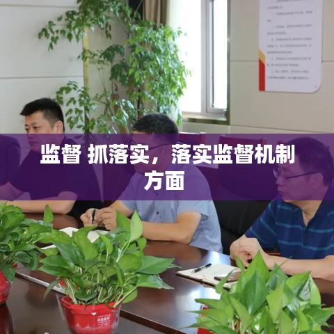 监督 抓落实，落实监督机制方面 