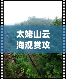 太姥山云海观赏攻略，畅游仙境，领略云端之美