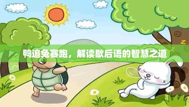 鸭追兔赛跑，解读歇后语的智慧之道