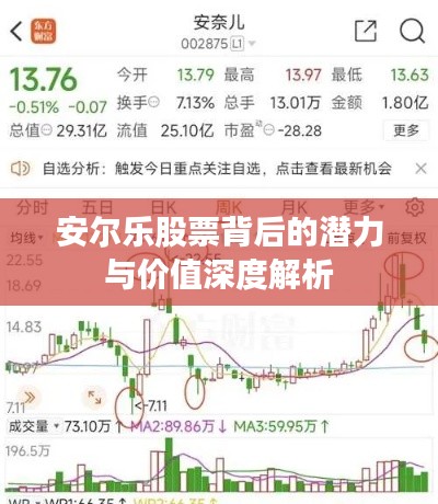 安尔乐股票背后的潜力与价值深度解析