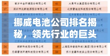 挪威电池公司排名揭秘，领先行业的巨头榜单！