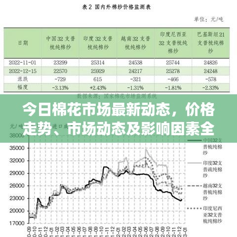 今日棉花市场最新动态，价格走势、市场动态及影响因素全解析