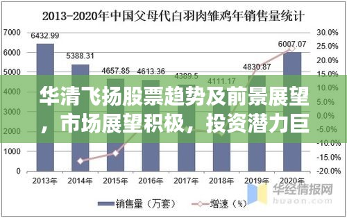 华清飞扬股票趋势及前景展望，市场展望积极，投资潜力巨大！