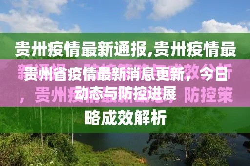 贵州省疫情最新消息更新，今日动态与防控进展