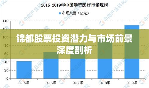 锦都股票投资潜力与市场前景深度剖析