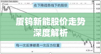 厦钨新能股价走势深度解析