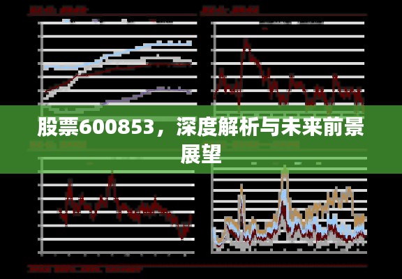 股票600853，深度解析与未来前景展望