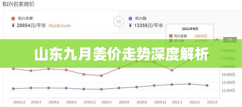 山东九月姜价走势深度解析