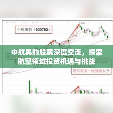 中航黑豹股票深度交流，探索航空领域投资机遇与挑战