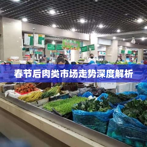 春节后肉类市场走势深度解析