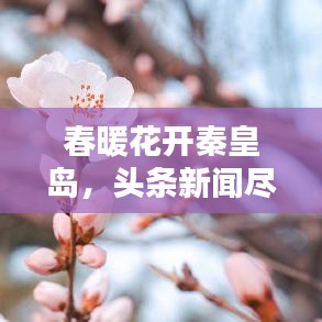 春暖花开秦皇岛，头条新闻尽收眼底