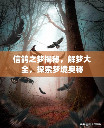 信鸽之梦揭秘，解梦大全，探索梦境奥秘