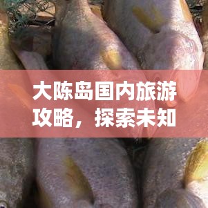 大陈岛国内旅游攻略，探索未知的美丽海域