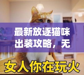 最新放逐猫咪出装攻略，无敌战斗猫打造指南