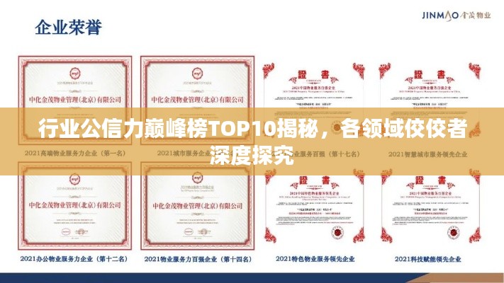 行业公信力巅峰榜TOP10揭秘，各领域佼佼者深度探究