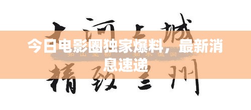 今日电影圈独家爆料，最新消息速递