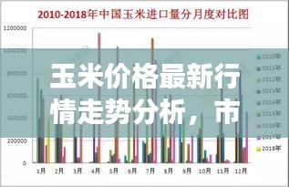 玉米价格最新行情走势分析，市场趋势与影响因素解读