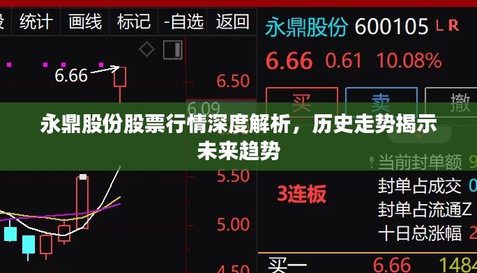 永鼎股份股票行情深度解析，历史走势揭示未来趋势