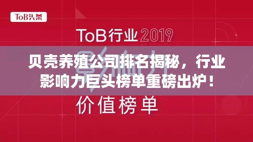 贝壳养殖公司排名揭秘，行业影响力巨头榜单重磅出炉！