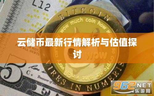 云储币最新行情解析与估值探讨