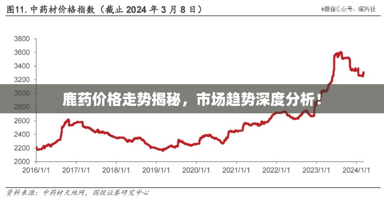 鹿药价格走势揭秘，市场趋势深度分析！