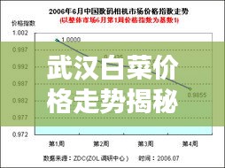 武汉白菜价格走势揭秘，最新行情分析报告