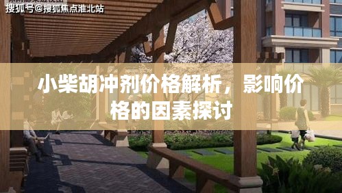 小柴胡冲剂价格解析，影响价格的因素探讨