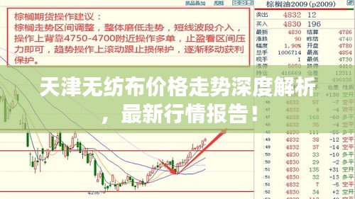 天津无纺布价格走势深度解析，最新行情报告！