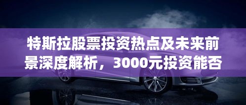 特斯拉股票投资热点及未来前景深度解析，3000元投资能否迎来丰厚回报？