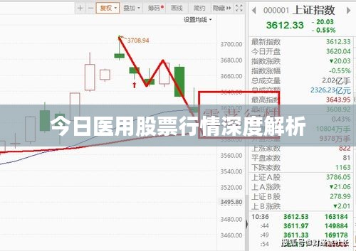 今日医用股票行情深度解析