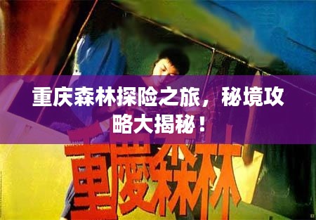 重庆森林探险之旅，秘境攻略大揭秘！