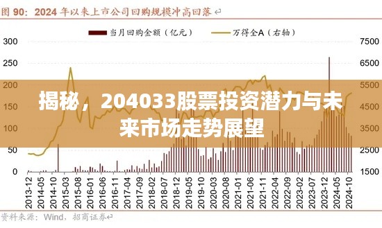 揭秘，204033股票投资潜力与未来市场走势展望