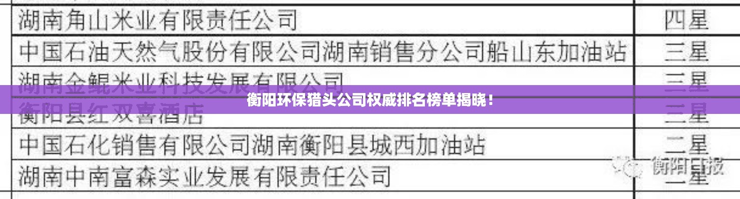 衡阳环保猎头公司权威排名榜单揭晓！