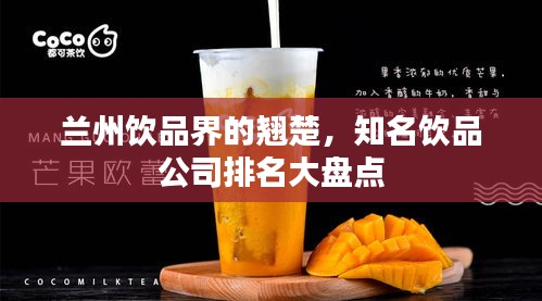 兰州饮品界的翘楚，知名饮品公司排名大盘点