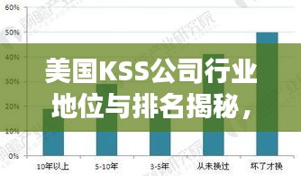 美国KSS公司行业地位与排名揭秘，引领行业潮流，展现卓越实力