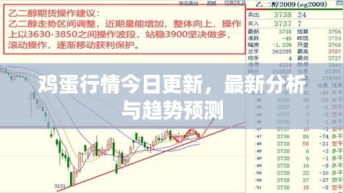 2025年1月29日 第4页