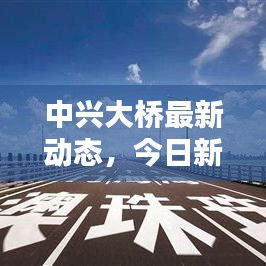 中兴大桥最新动态，今日新闻一览