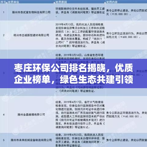 枣庄环保公司排名揭晓，优质企业榜单，绿色生态共建引领者