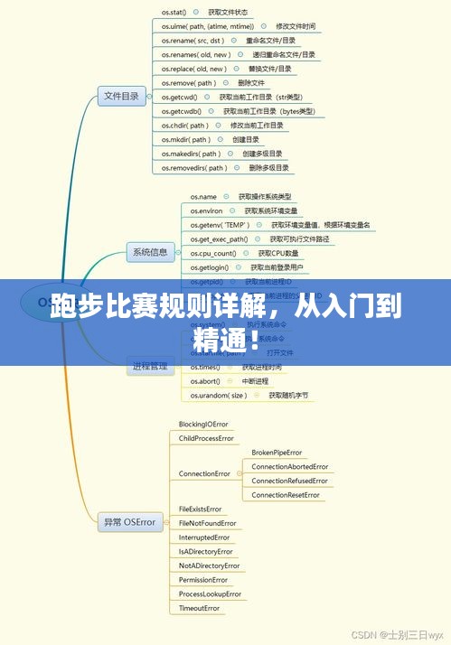 跑步比赛规则详解，从入门到精通！