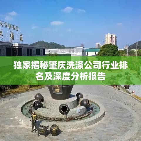 独家揭秘肇庆洗涤公司行业排名及深度分析报告