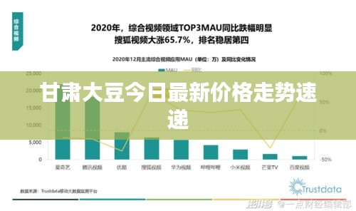 2025年1月30日 第9页