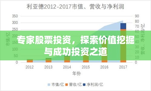 专家股票投资，探索价值挖掘与成功投资之道