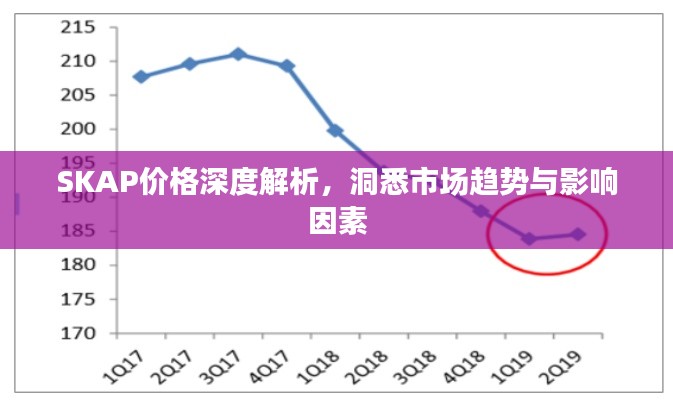 SKAP价格深度解析，洞悉市场趋势与影响因素