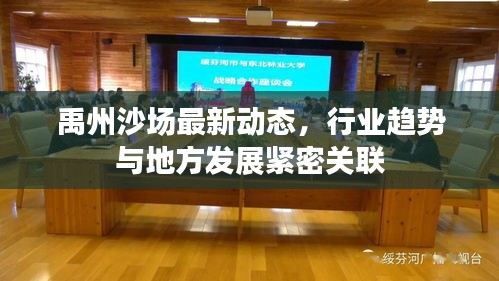 禹州沙场最新动态，行业趋势与地方发展紧密关联