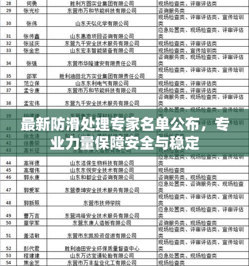 最新防滑处理专家名单公布，专业力量保障安全与稳定