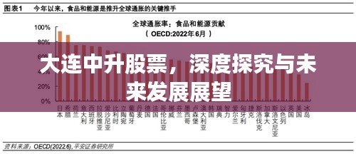 大连中升股票，深度探究与未来发展展望