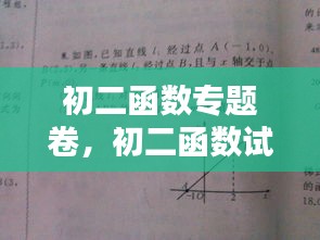 初二函数专题卷，初二函数试题与答案 