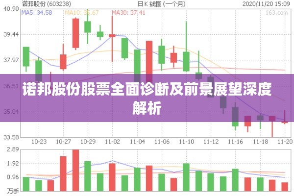 诺邦股份股票全面诊断及前景展望深度解析