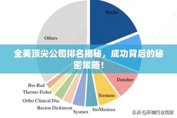 全美顶尖公司排名揭秘，成功背后的秘密策略！